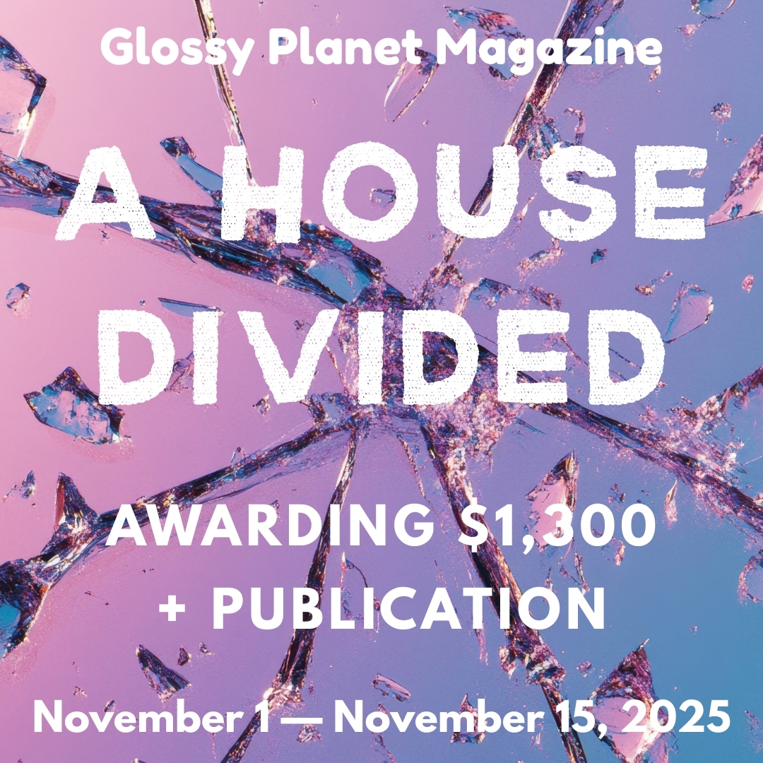 A House Divided November writing challenge theme