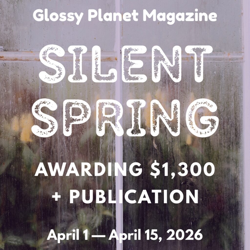 Silent Spring text over window background